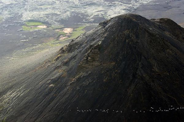 Grindavík Mar Guesthouse المظهر الخارجي الصورة